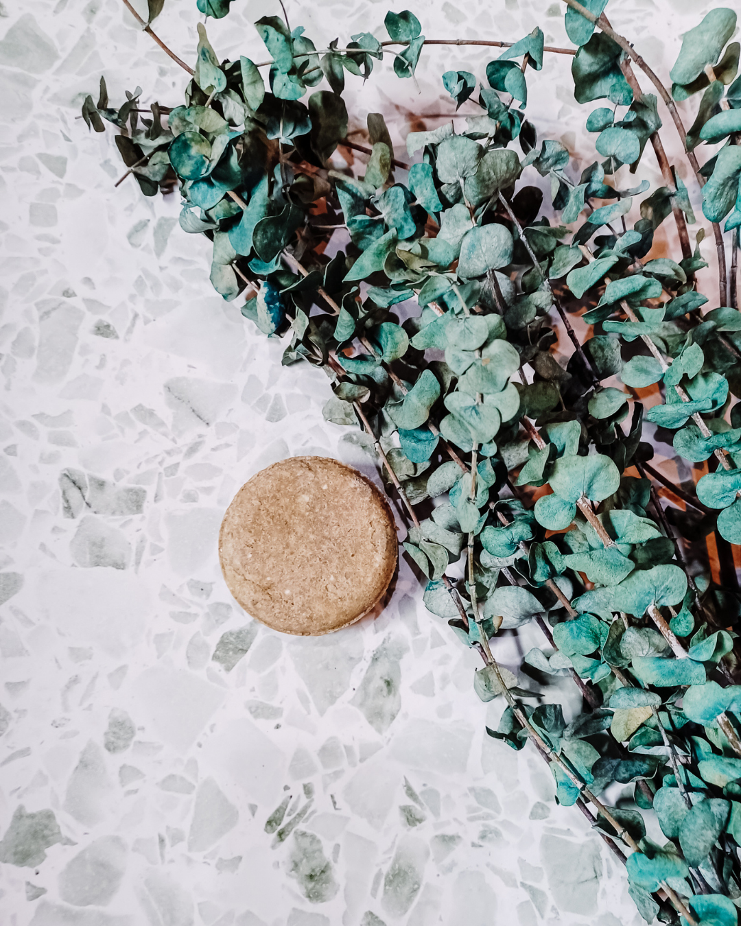 Solid Shampoo Bar - Earthling: Restore & Strengthen