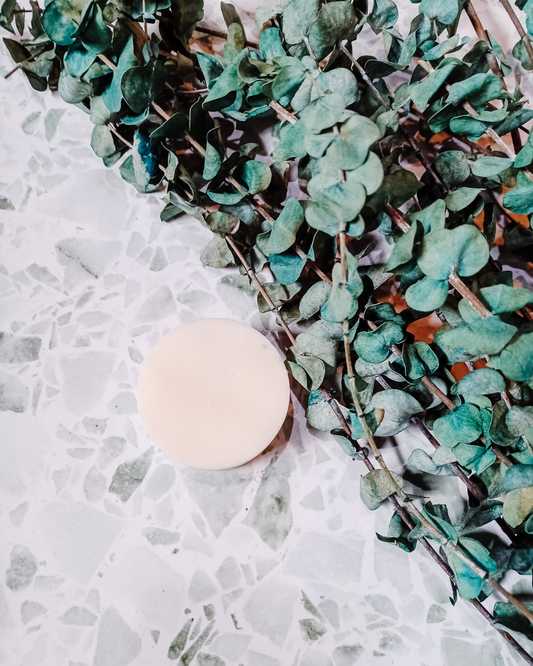 Solid Conditioner Bar - Earthling: Nourish & Revitalize