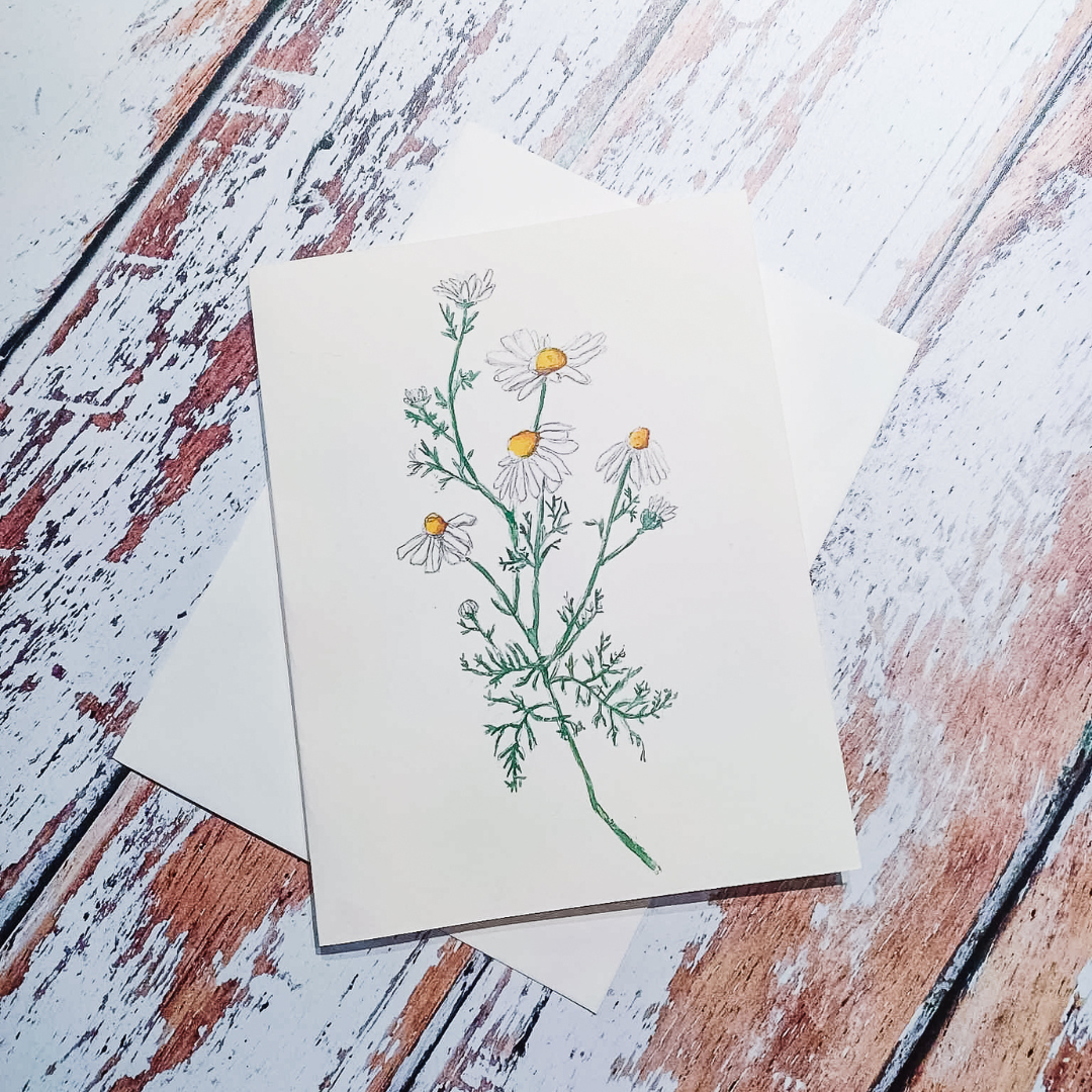 Greeting Card: Chamomile