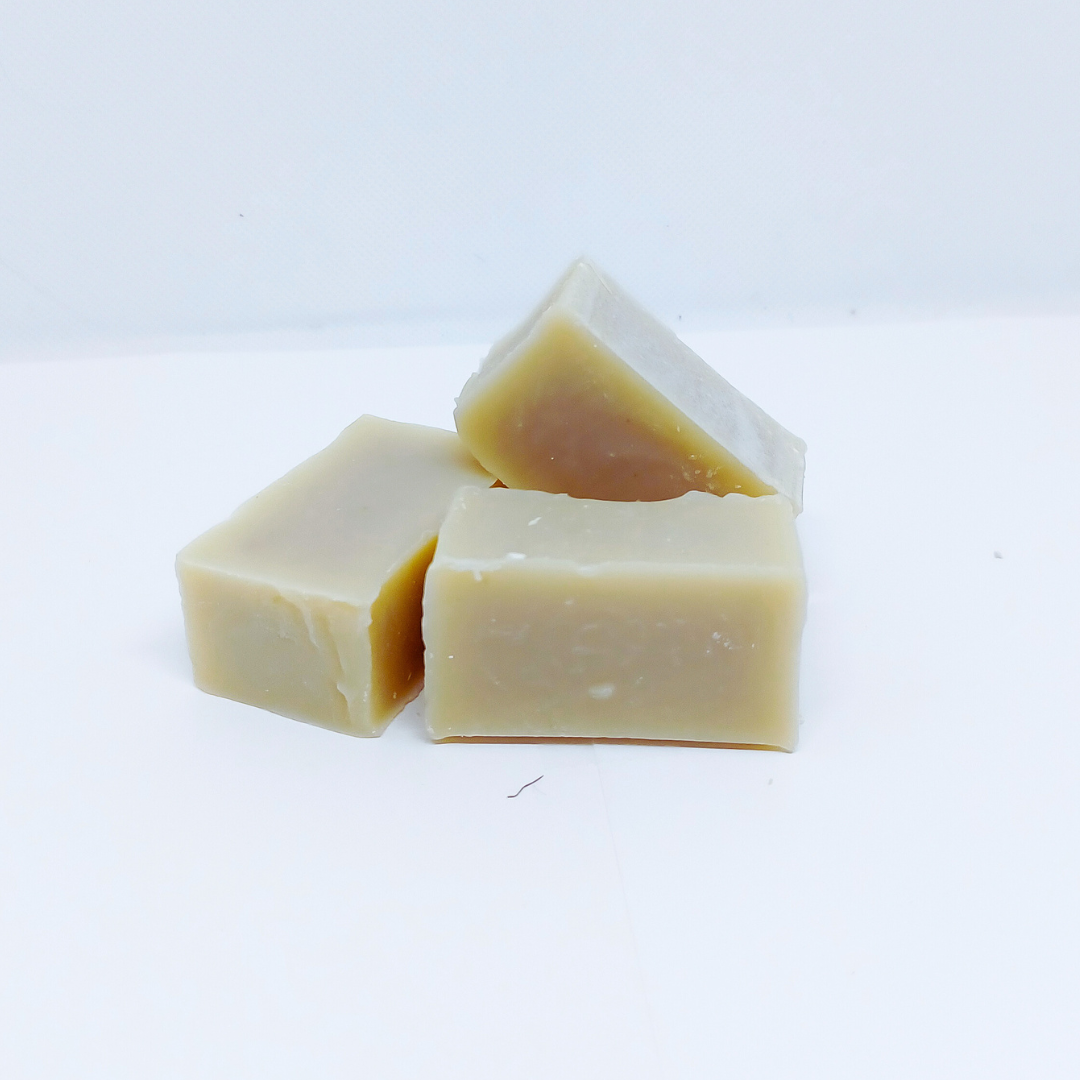 LAST CHANCE: The Guest WASH Bar: 3 Pack Eucalyptus
