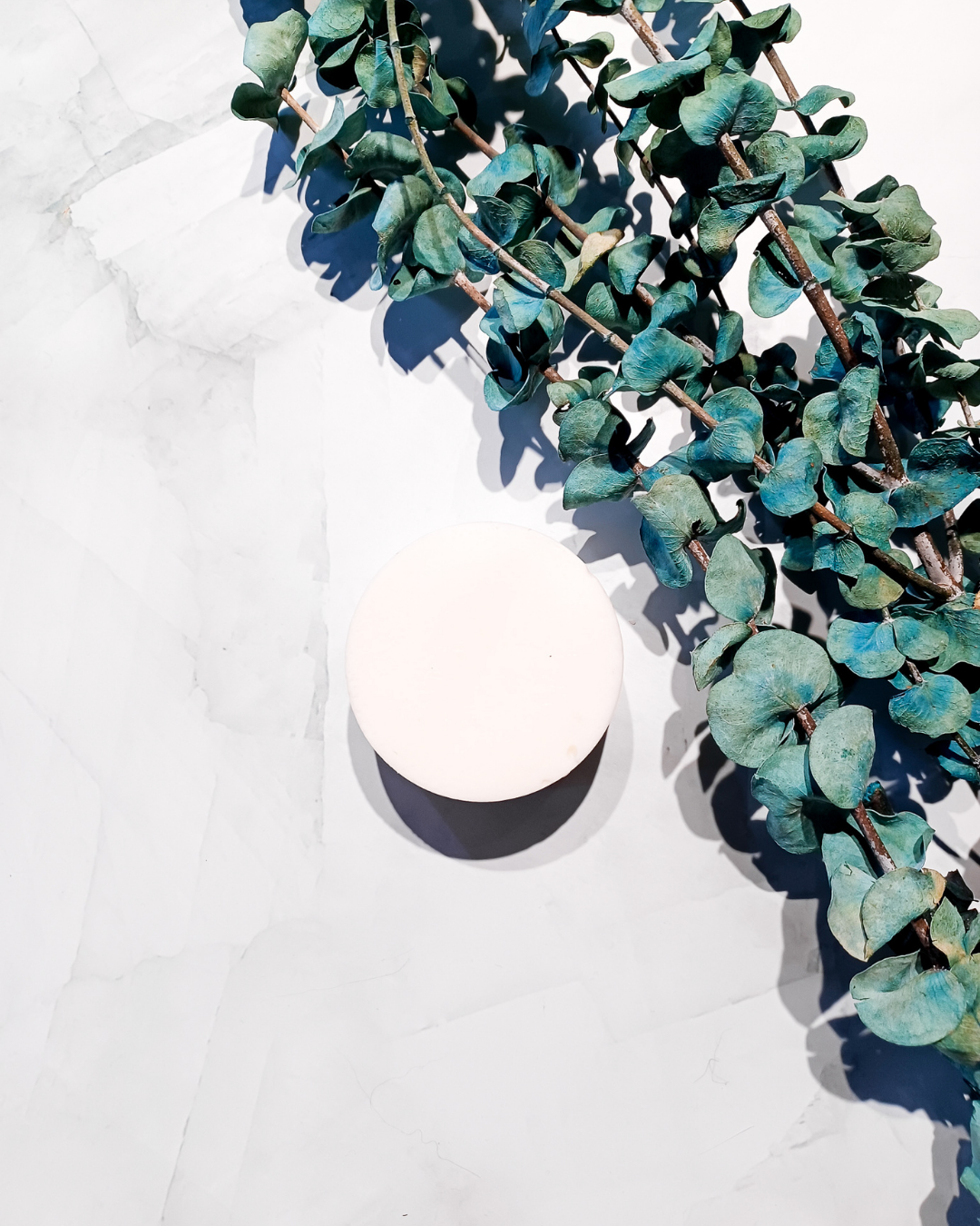 Solid Conditioner Bar - Earthling: Nourish & Revitalize