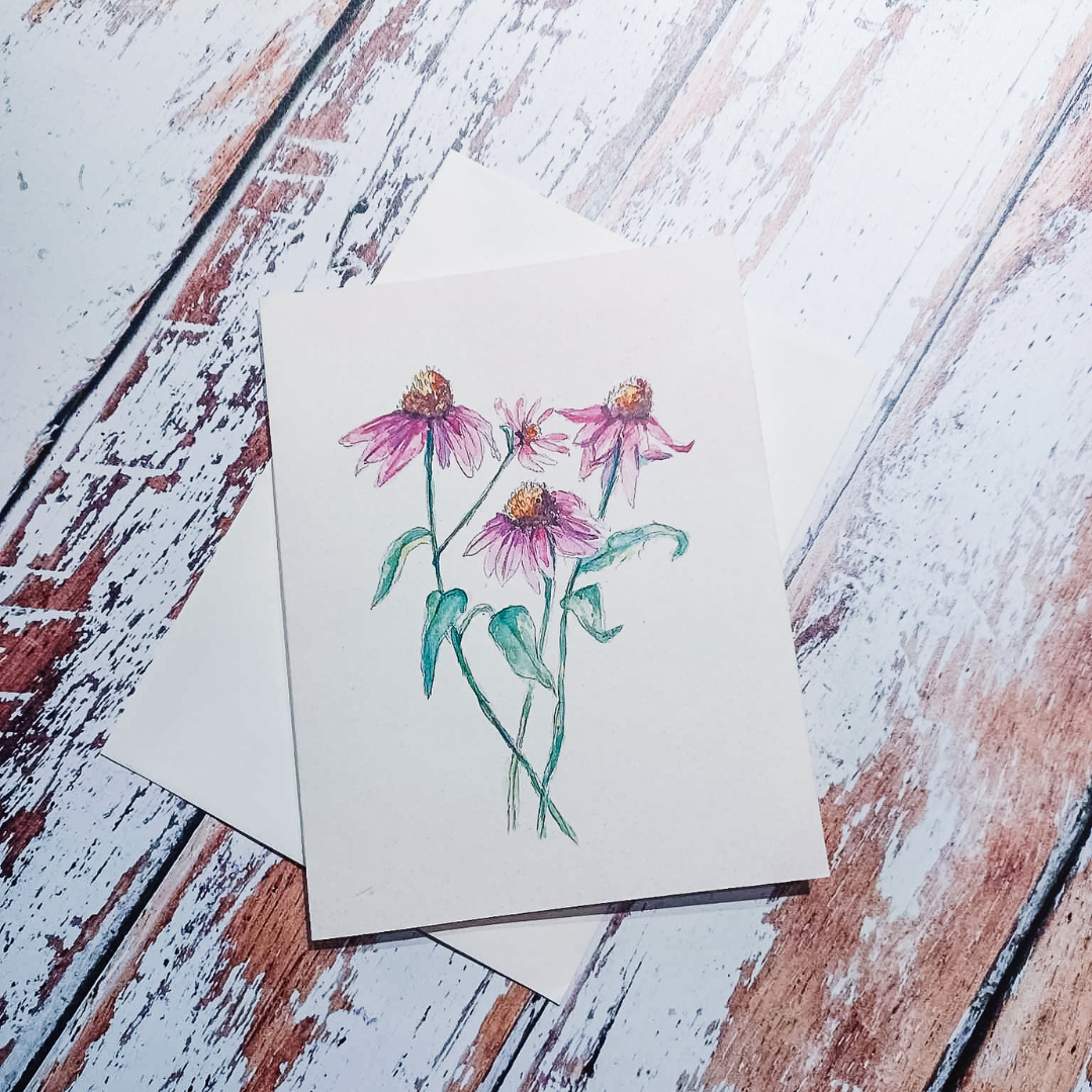 Greeting Card: Echinacea